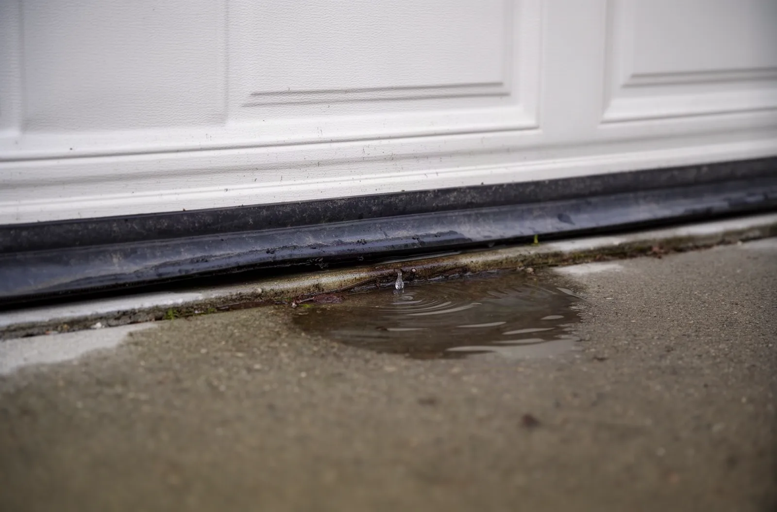 A worn garage door bottom seal with water entering at the slab